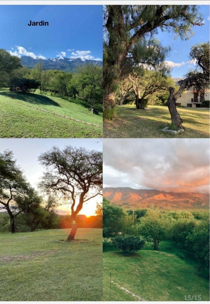 WhatsApp Image 2026-03-09 at 11.33.00