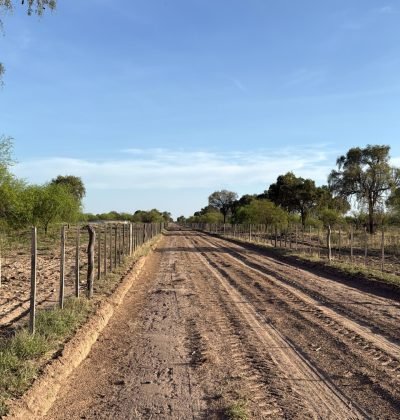 WhatsApp Image 2026-03-04 at 11.43.06